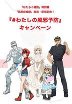 工作细胞特别篇:感冒